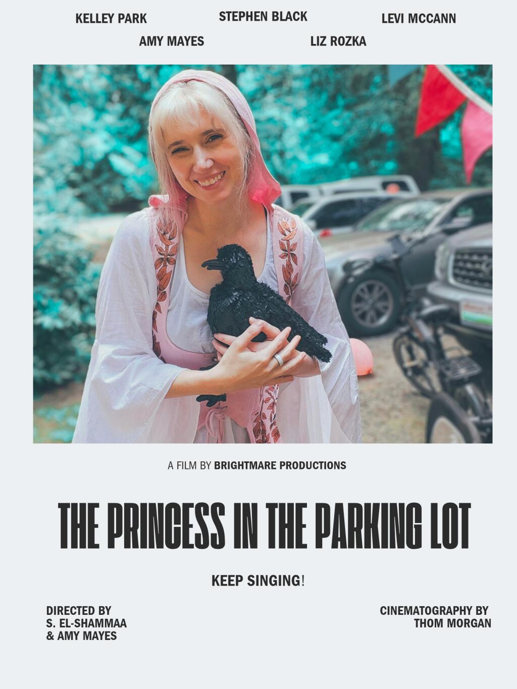 Filmposter for The Princess in the Parking Lot